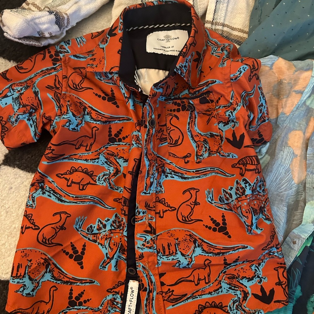 Assorted toddler Casual Shirts Bundle - Picture 2 of 8